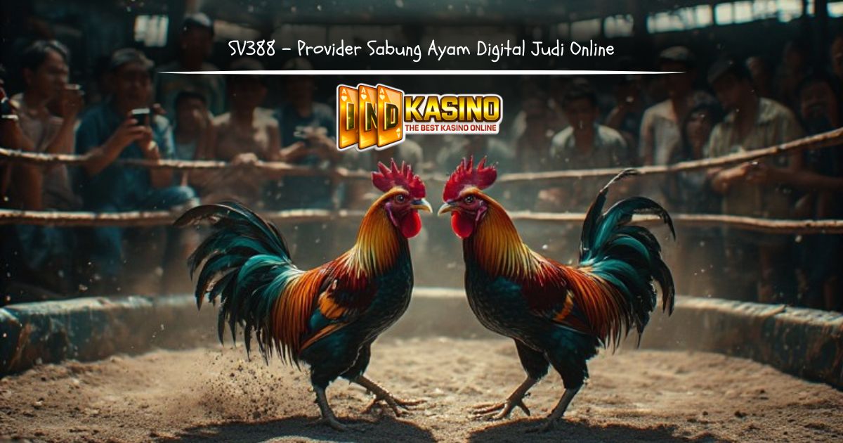 Ilustrasi SV388 sebagai provider sabung ayam digital